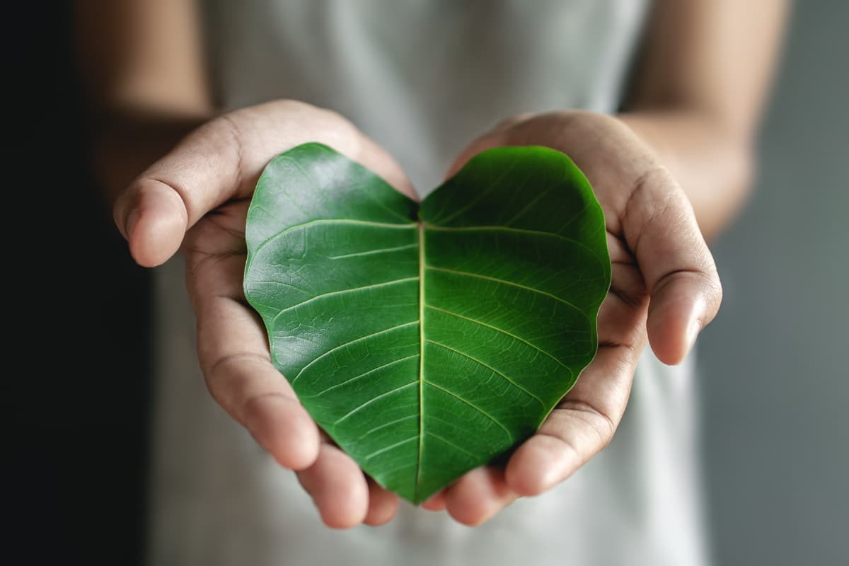 Cover Image for Reči ohrabrenja koje će pomoći da ustaneš i nastaviš kada je teško